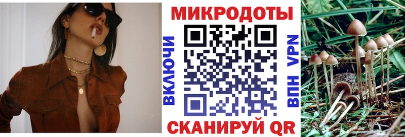 блэк спрут вход Вилючинск Галлюциногенные грибы мицелий